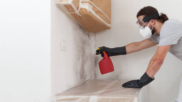Professional Mold Testing technician working in Elmont, NY