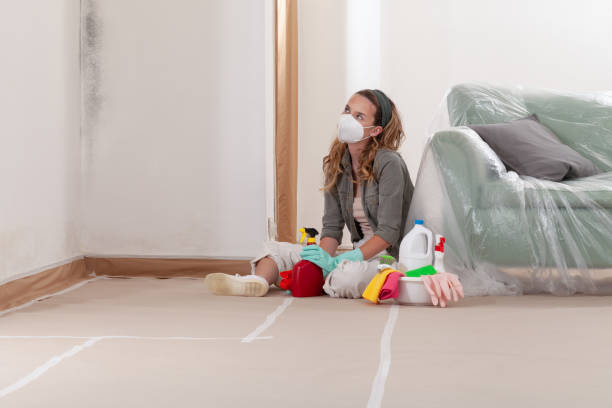 Reliable Mold Testing contractor in Elmont, NY by WQB Mold Removal